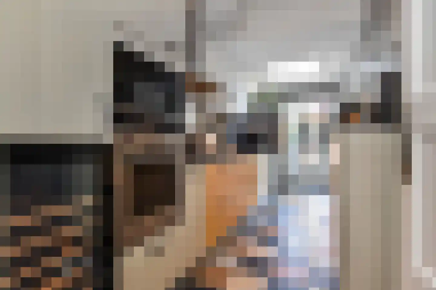 Sijzenlaan 33 Den Haag thumbnail 11