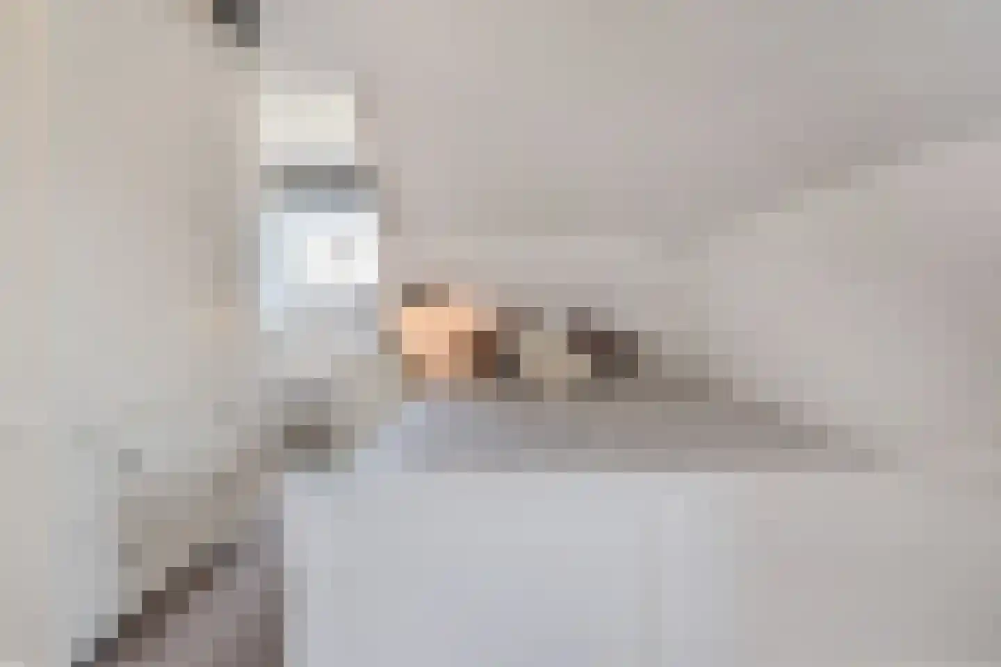 Sijzenlaan 33 Den Haag thumbnail 22
