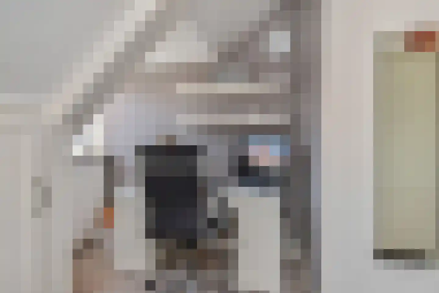 Sijzenlaan 33 Den Haag thumbnail 23