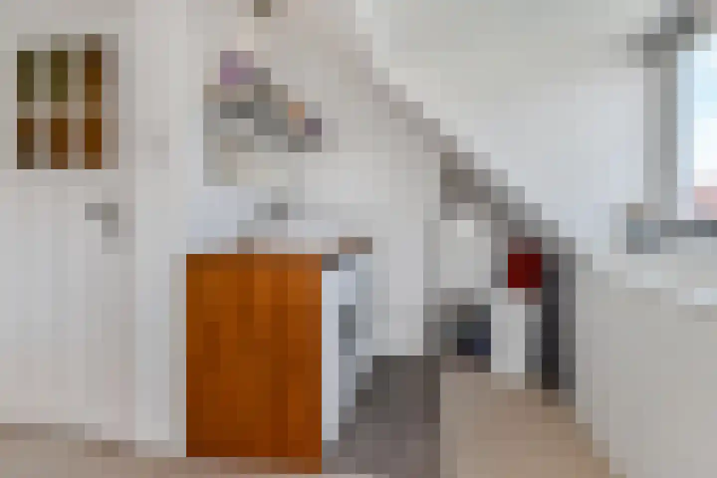 Sijzenlaan 33 Den Haag thumbnail 26