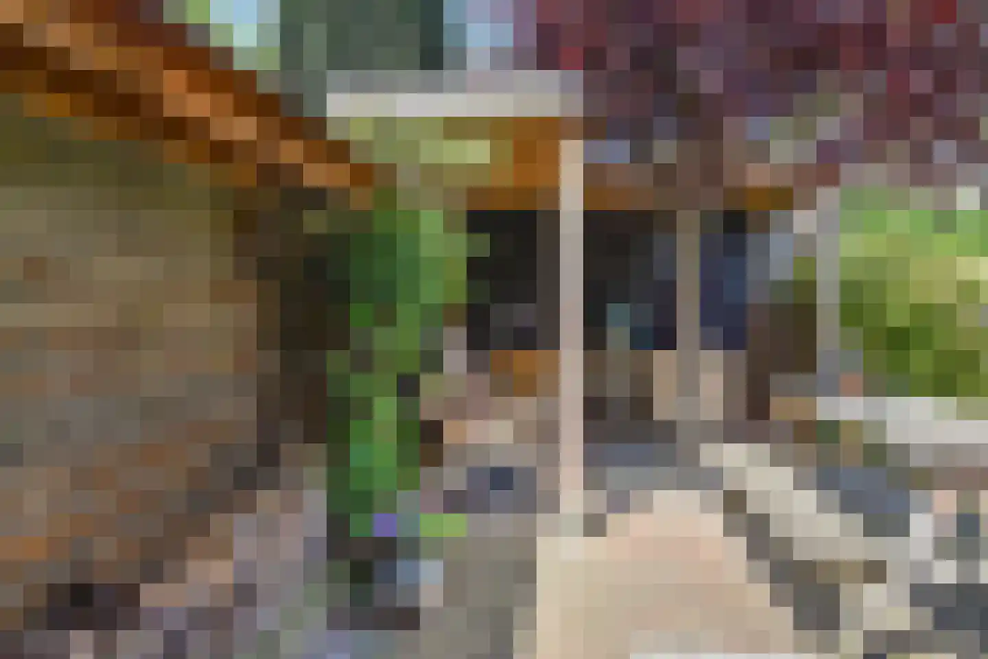 Sijzenlaan 33 Den Haag thumbnail 27