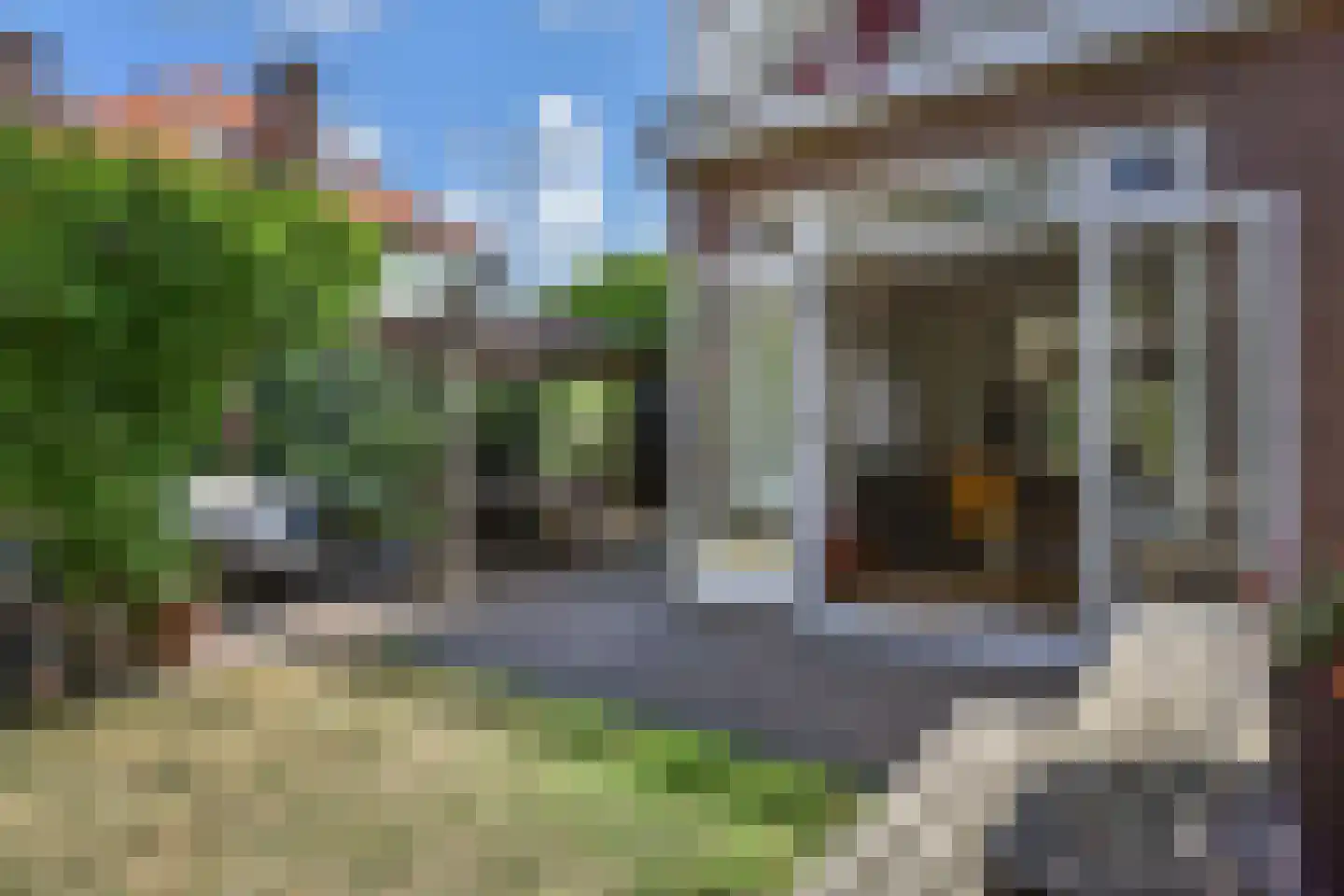 Sijzenlaan 33 Den Haag thumbnail 28