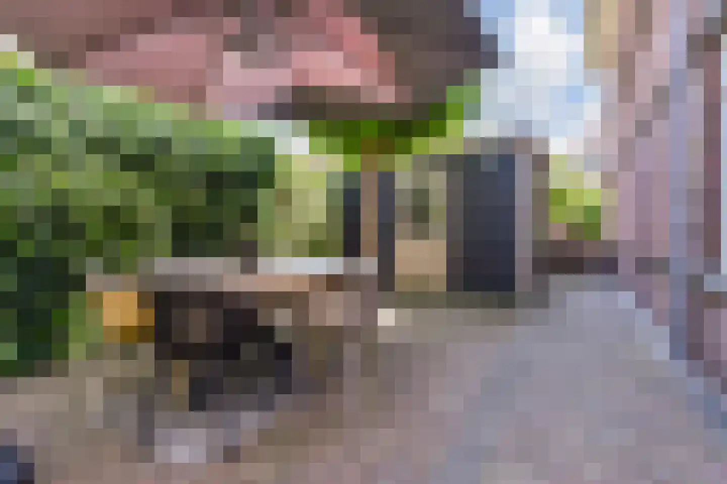 Sijzenlaan 33 Den Haag thumbnail 30