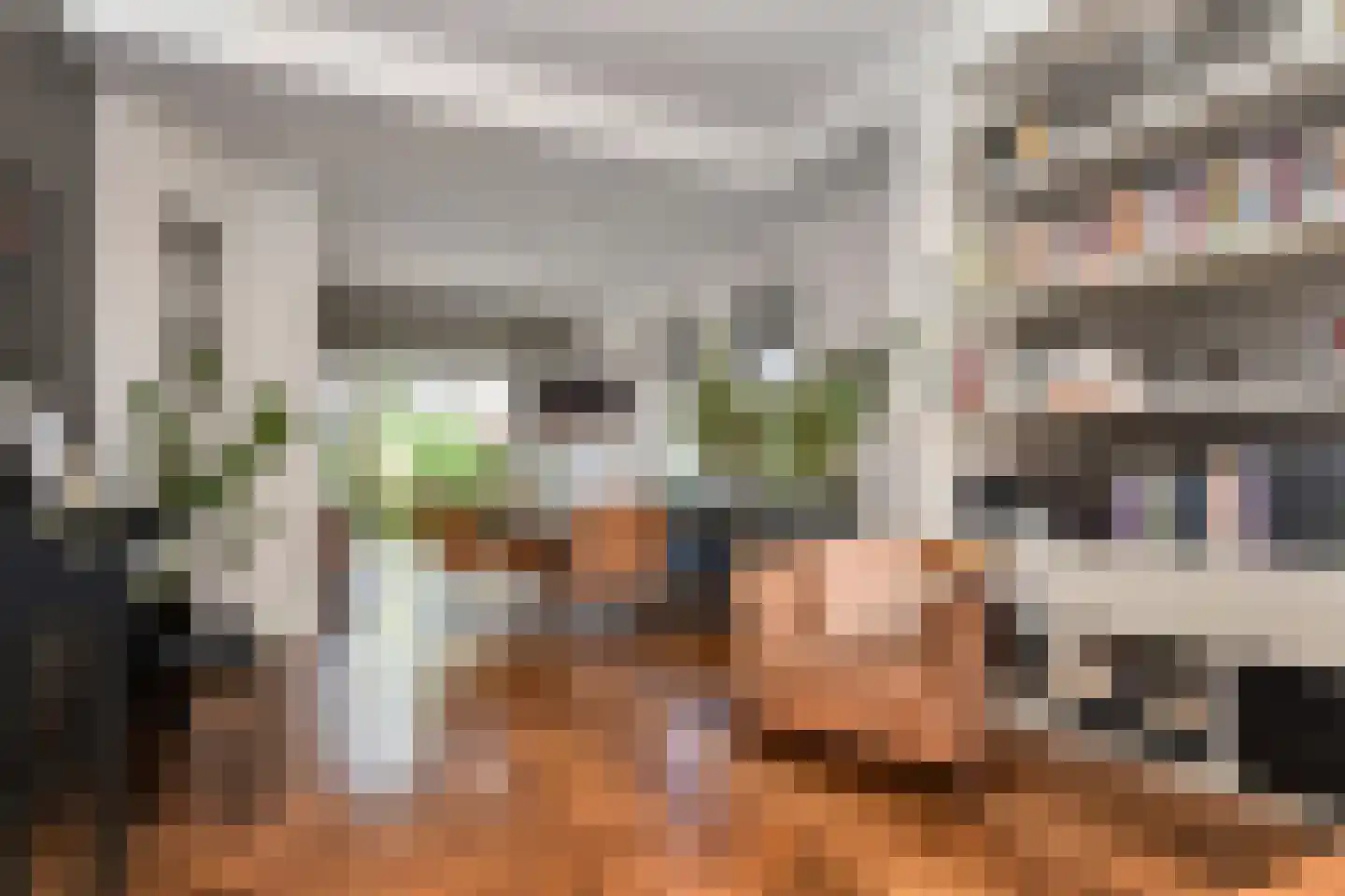 Sijzenlaan 33 Den Haag thumbnail 8