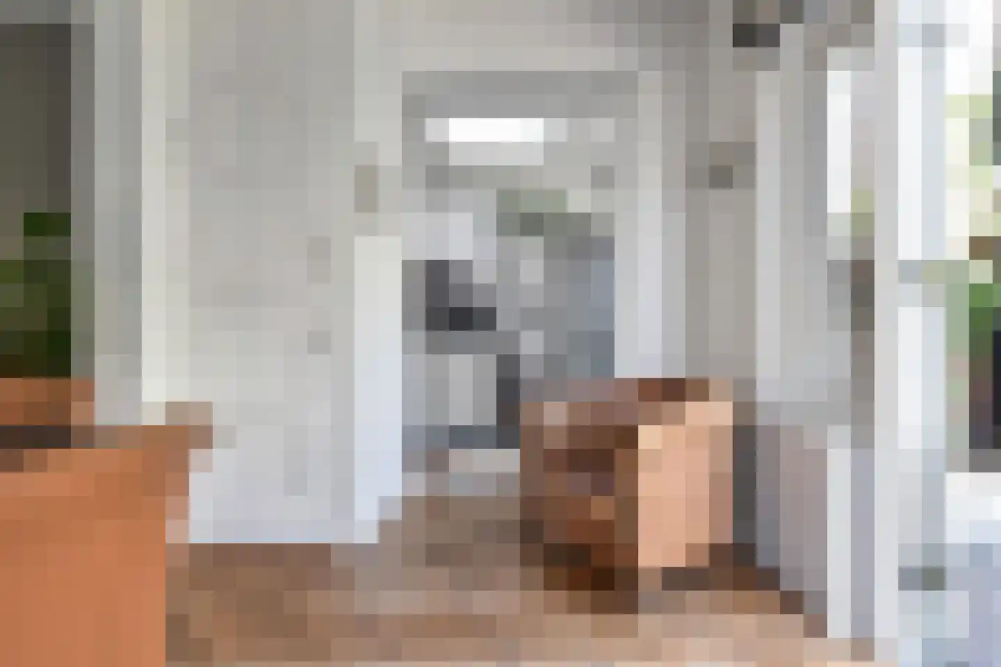 Sijzenlaan 33 Den Haag thumbnail 9