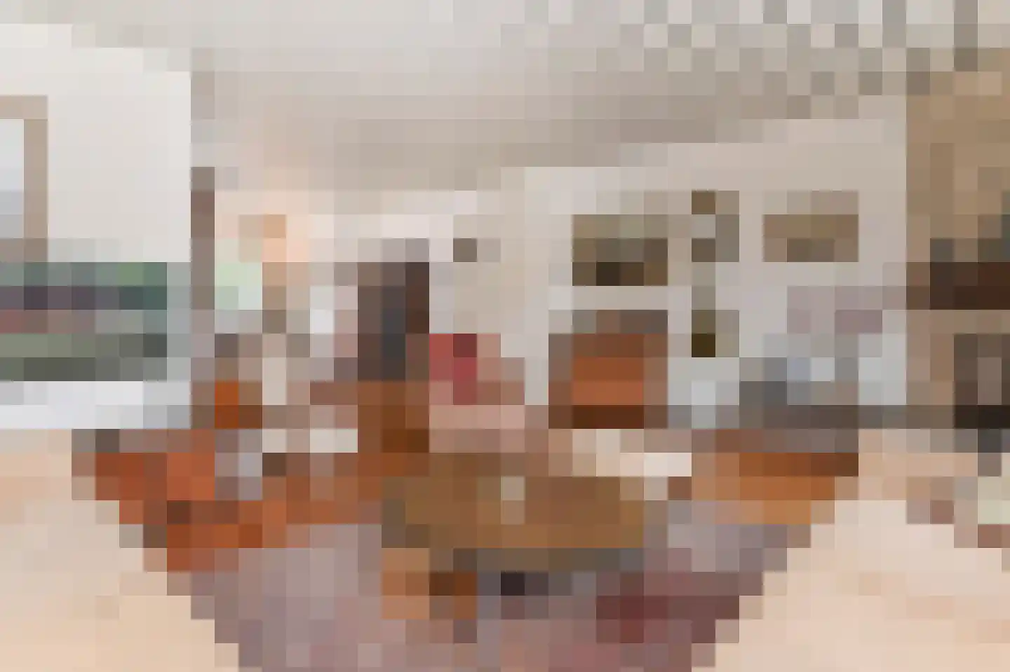 Sijzenlaan 35 Den Haag thumbnail 4