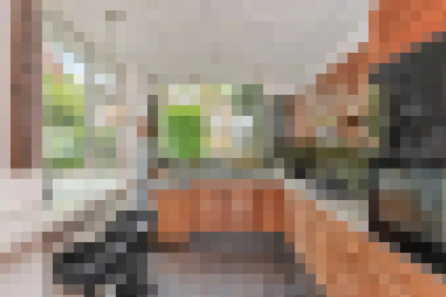 Sijzenlaan 35 Den Haag thumbnail 6