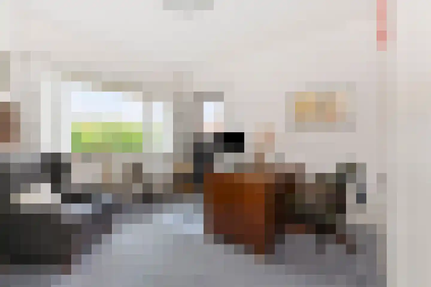 Sijzenlaan 35 Den Haag thumbnail 8