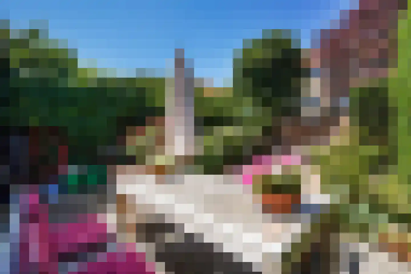 Sijzenlaan 53 Den Haag thumbnail 16