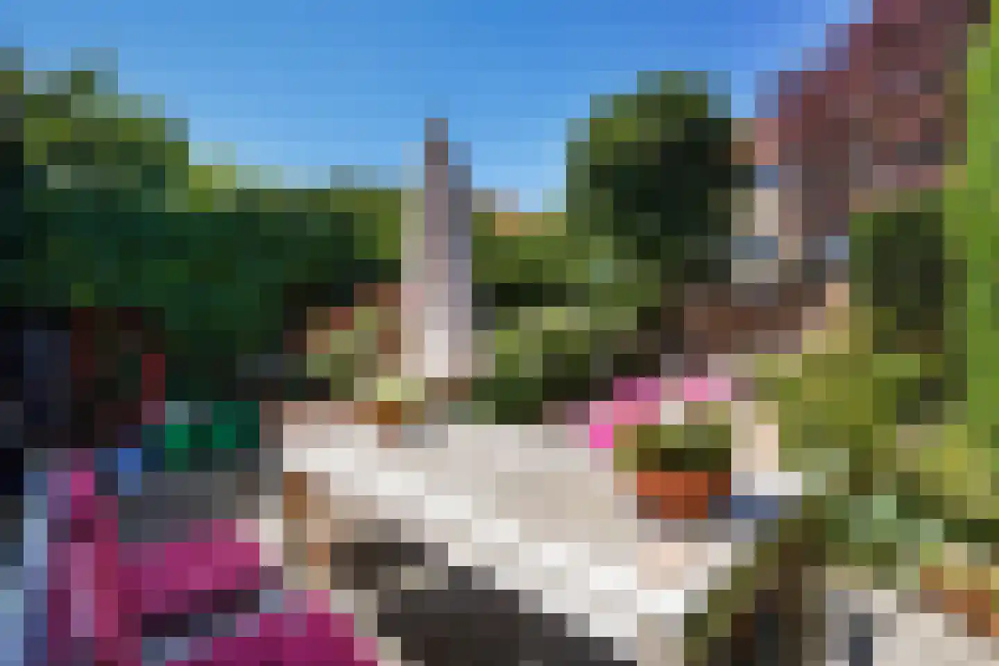 Sijzenlaan 53 Den Haag thumbnail 16