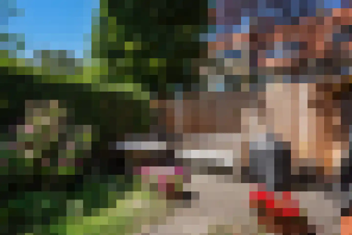 Sijzenlaan 53 Den Haag thumbnail 17