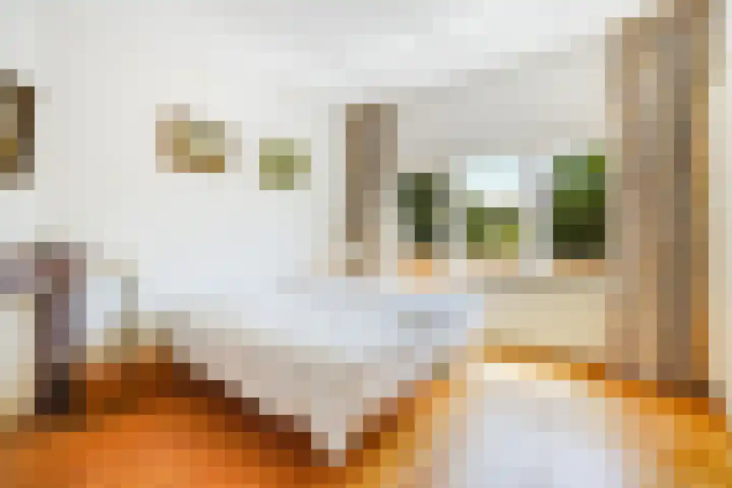 Sijzenlaan 53 Den Haag thumbnail 28