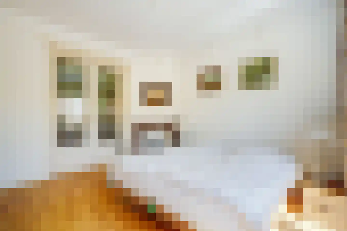 Sijzenlaan 53 Den Haag thumbnail 32
