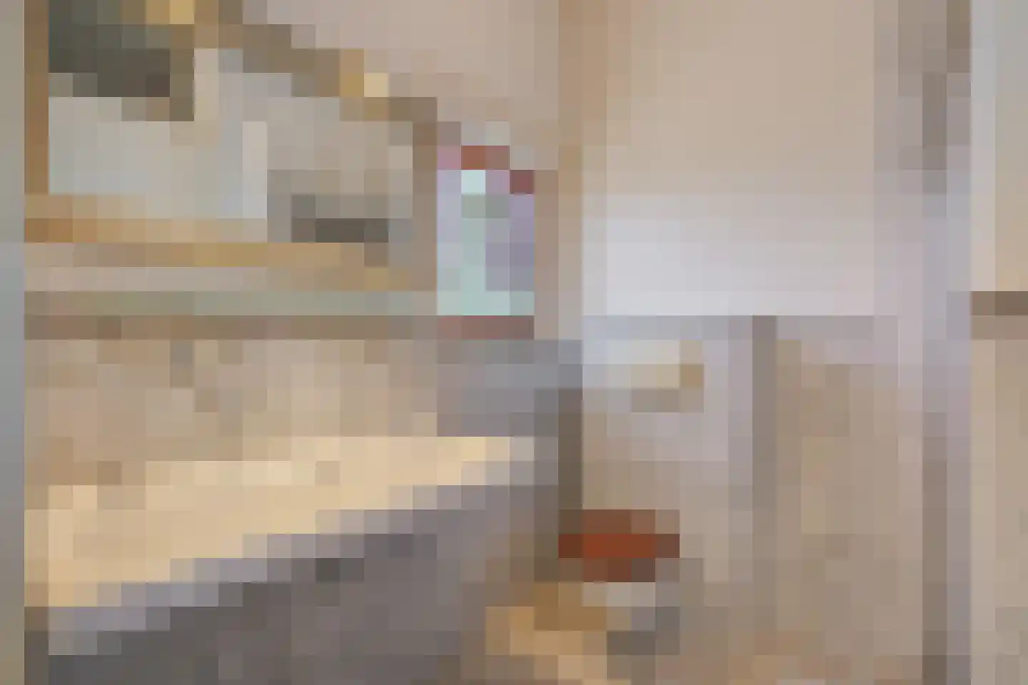 Sijzenlaan 53 Den Haag thumbnail 33