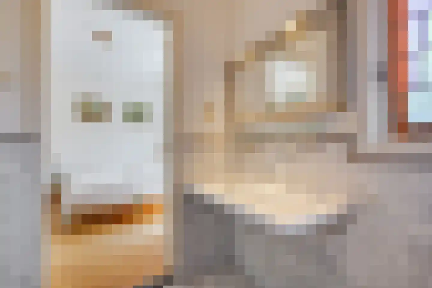Sijzenlaan 53 Den Haag thumbnail 35