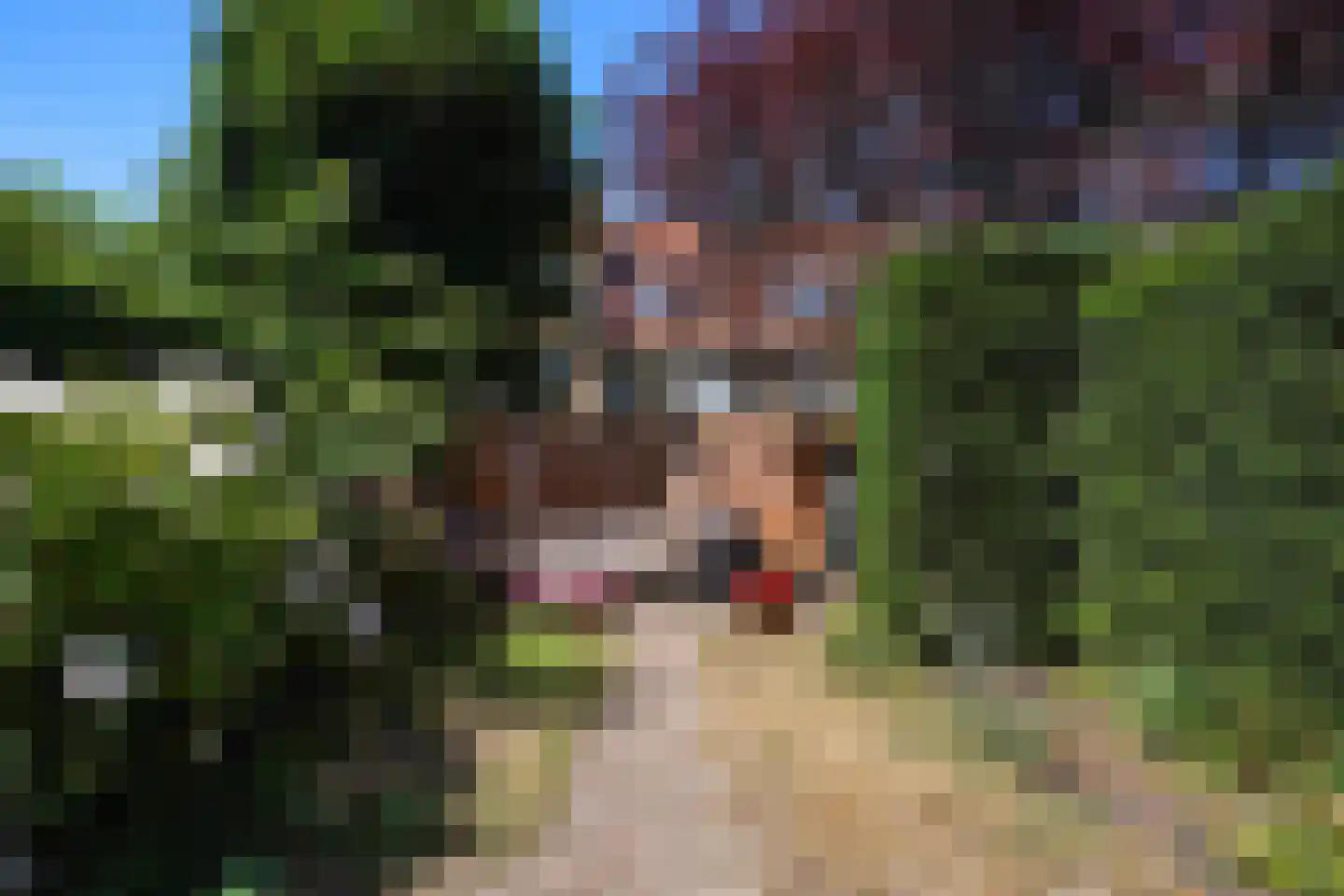Sijzenlaan 53 Den Haag thumbnail 4