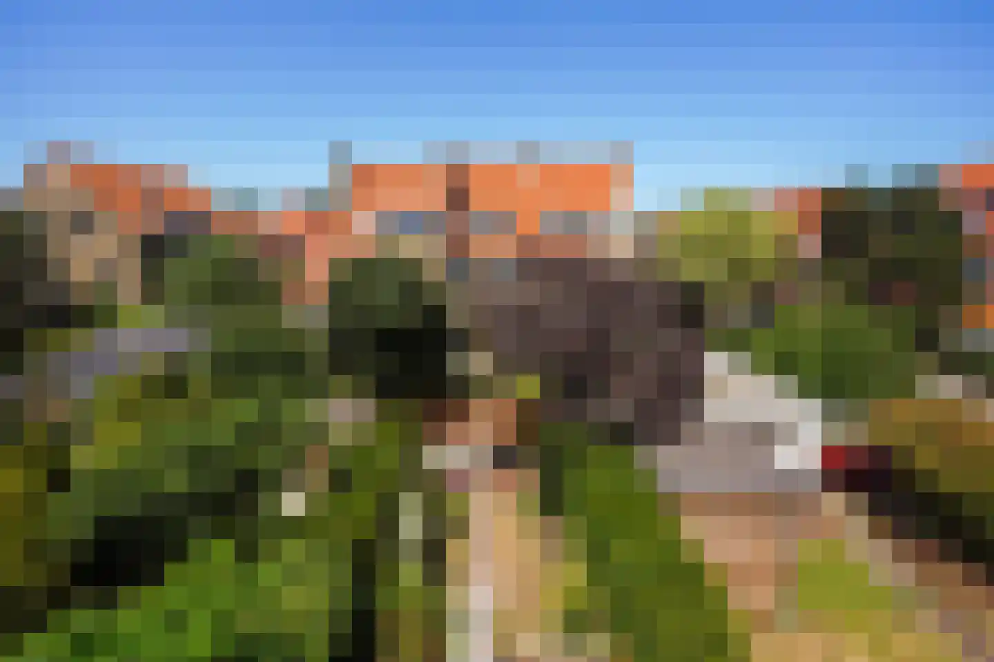 Sijzenlaan 53 Den Haag thumbnail 56