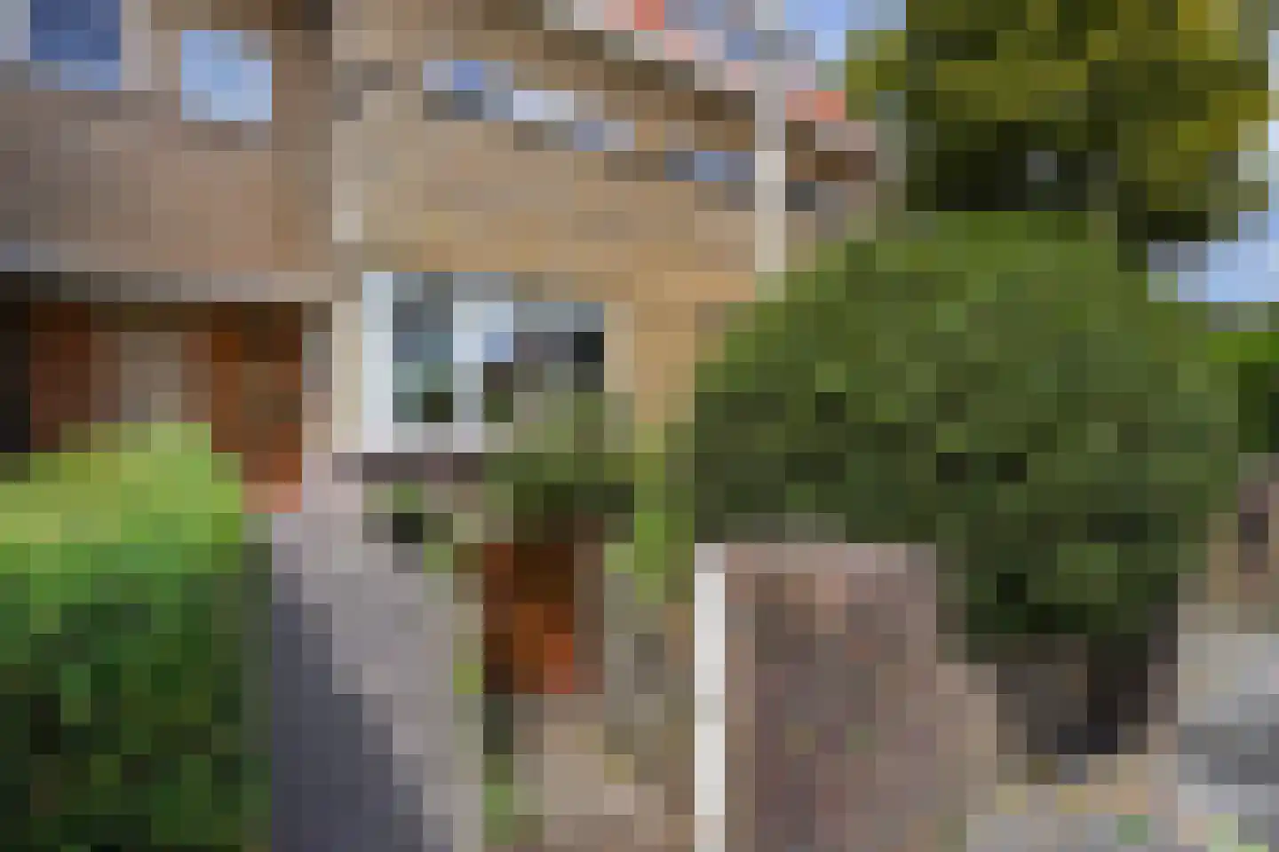 Sijzenlaan 53 Den Haag thumbnail 6