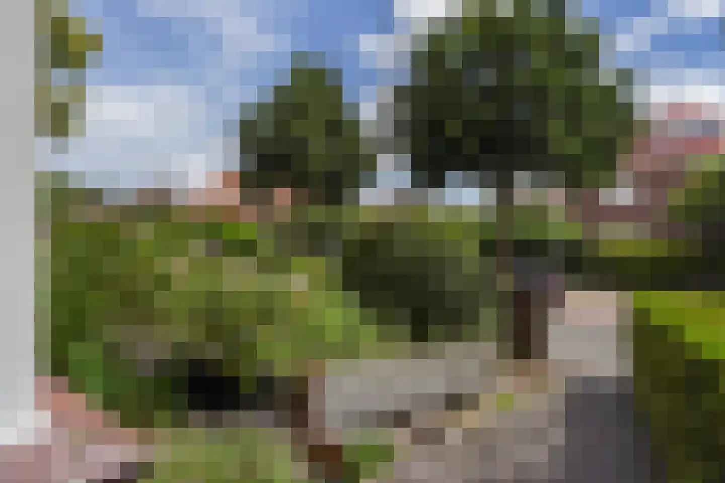 Sijzenlaan 53 Den Haag thumbnail 60