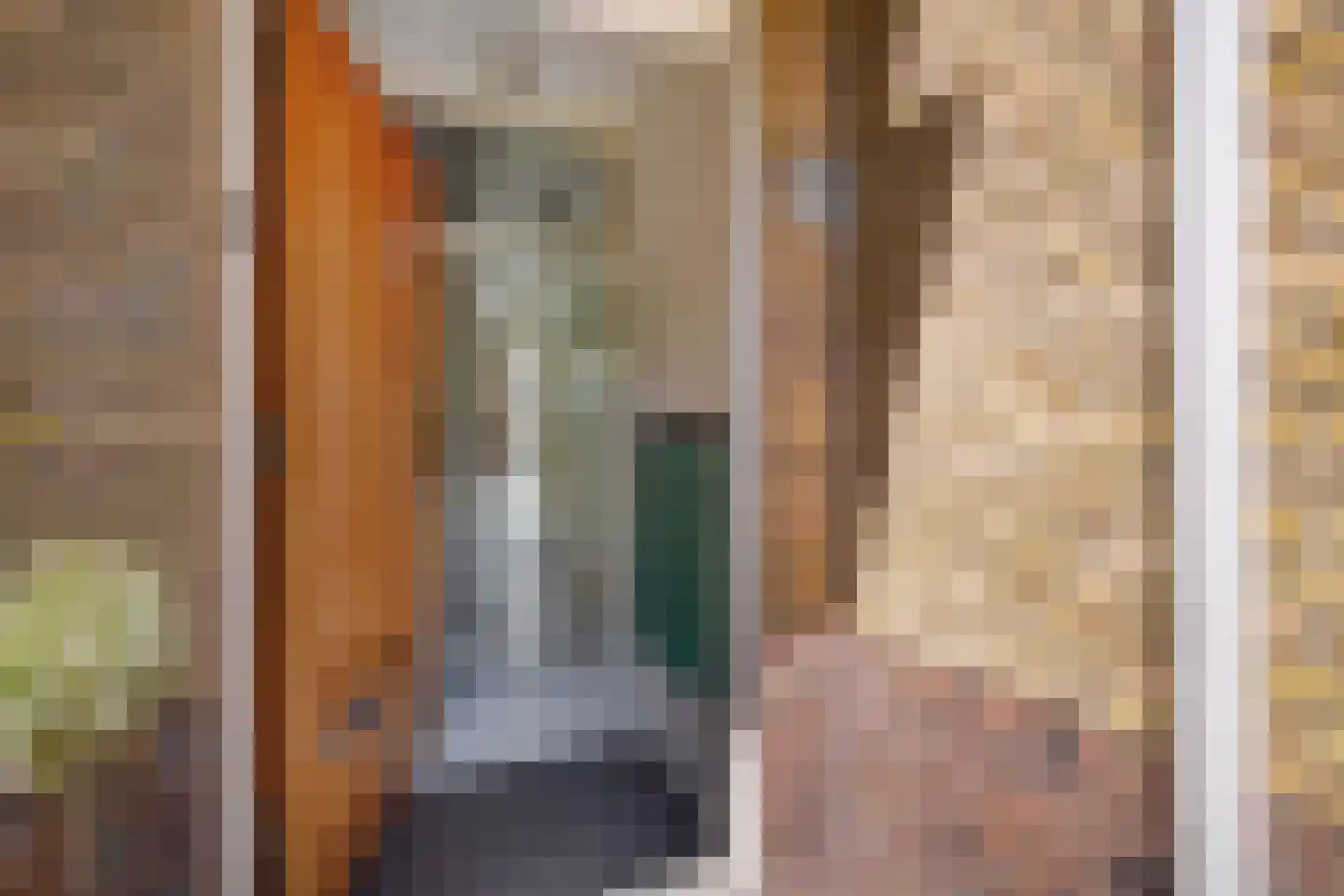 Sijzenlaan 53 Den Haag thumbnail 7