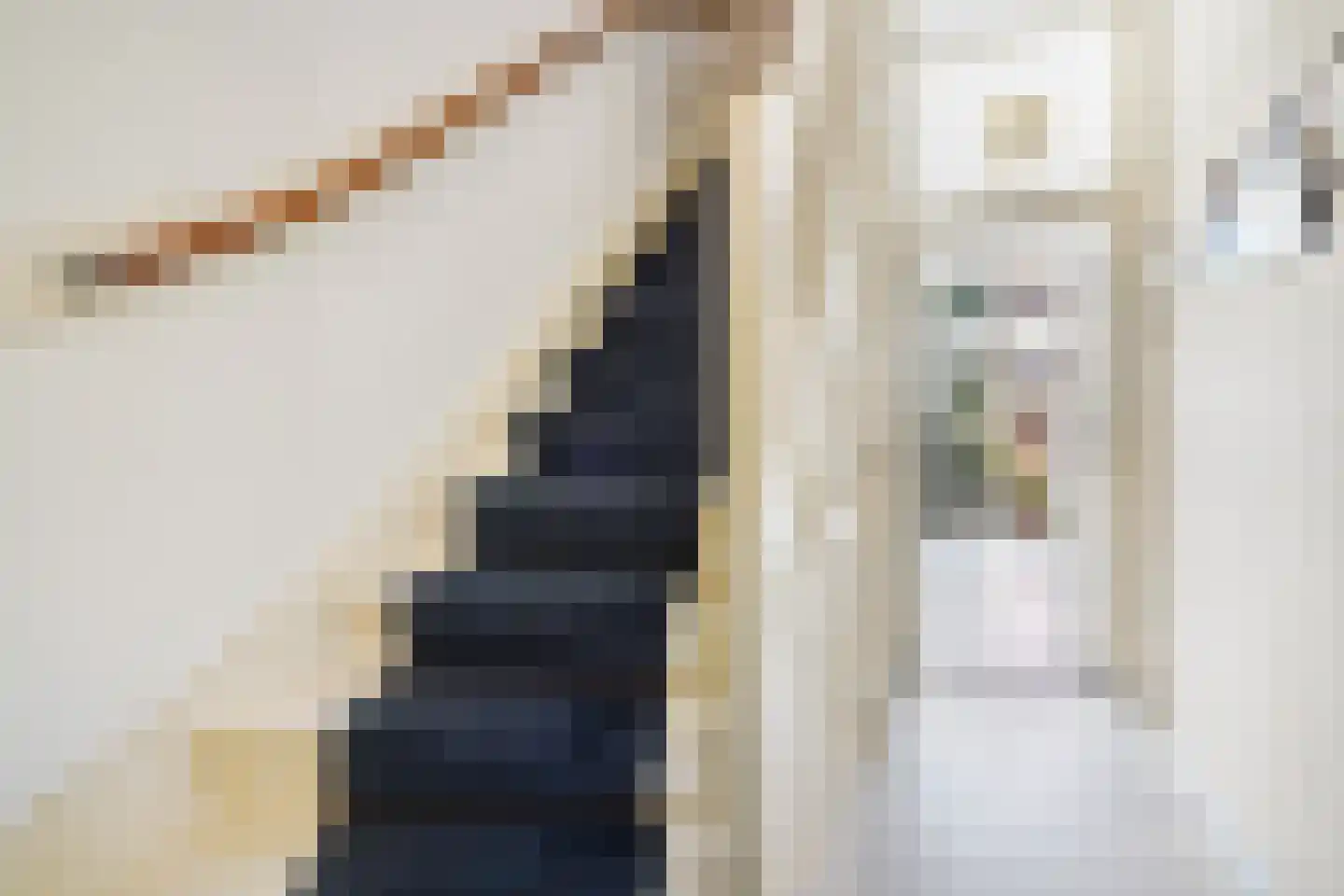 Sijzenlaan 53 Den Haag thumbnail 8