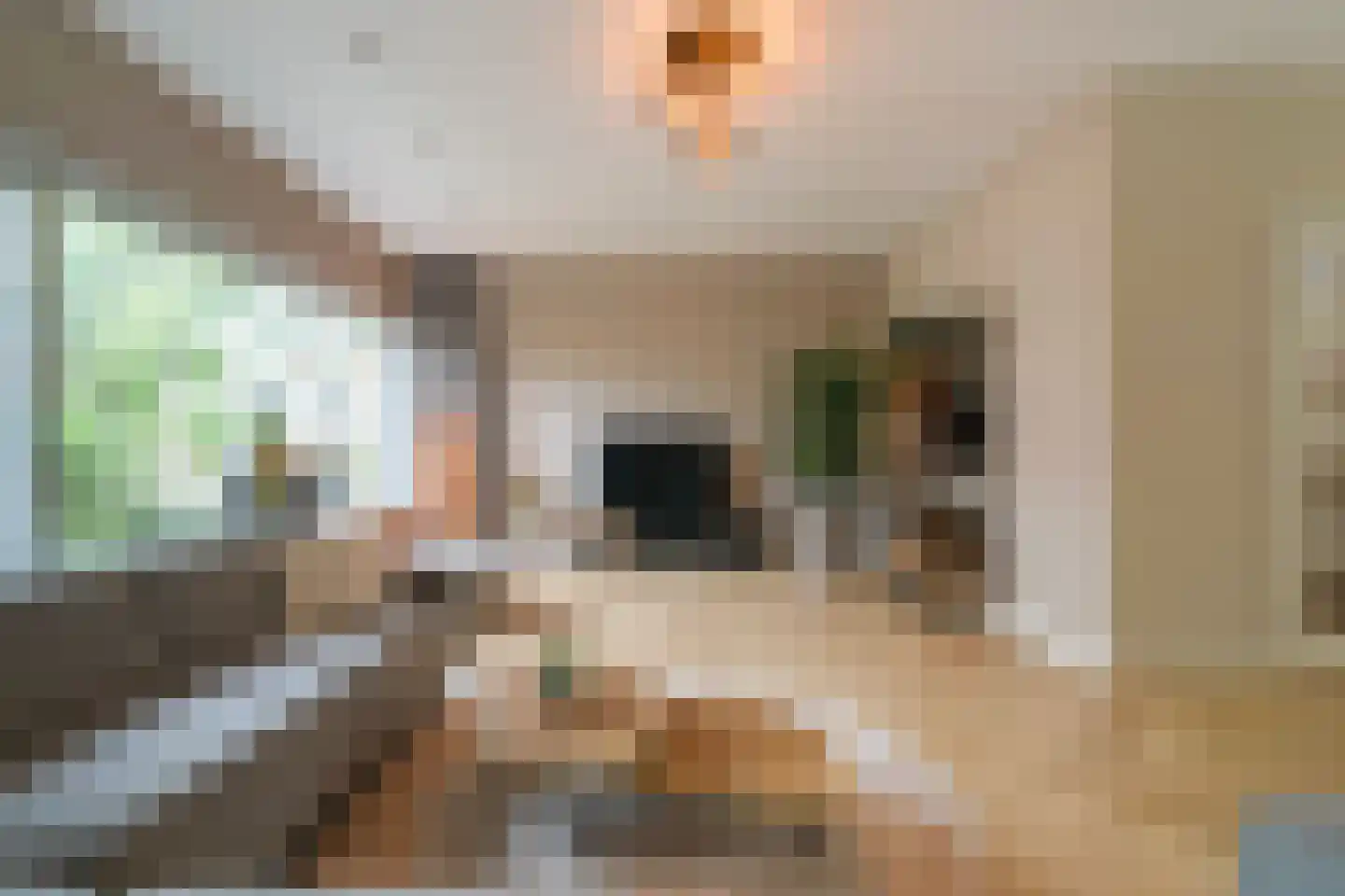 Sijzenlaan 6 D Den Haag thumbnail 10