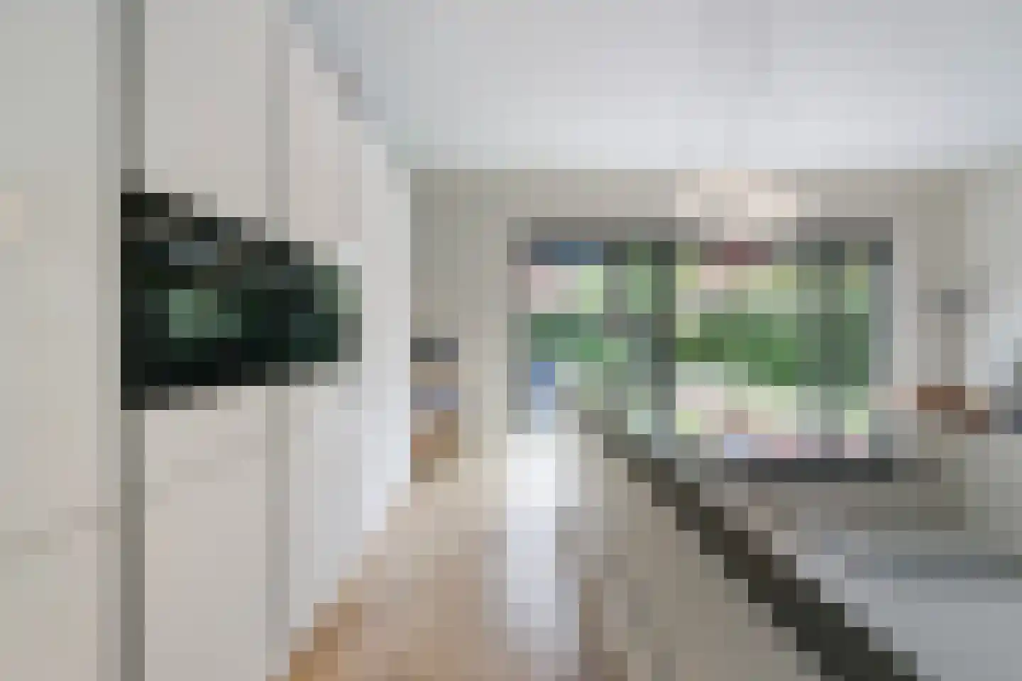 Sijzenlaan 6 D Den Haag thumbnail 16