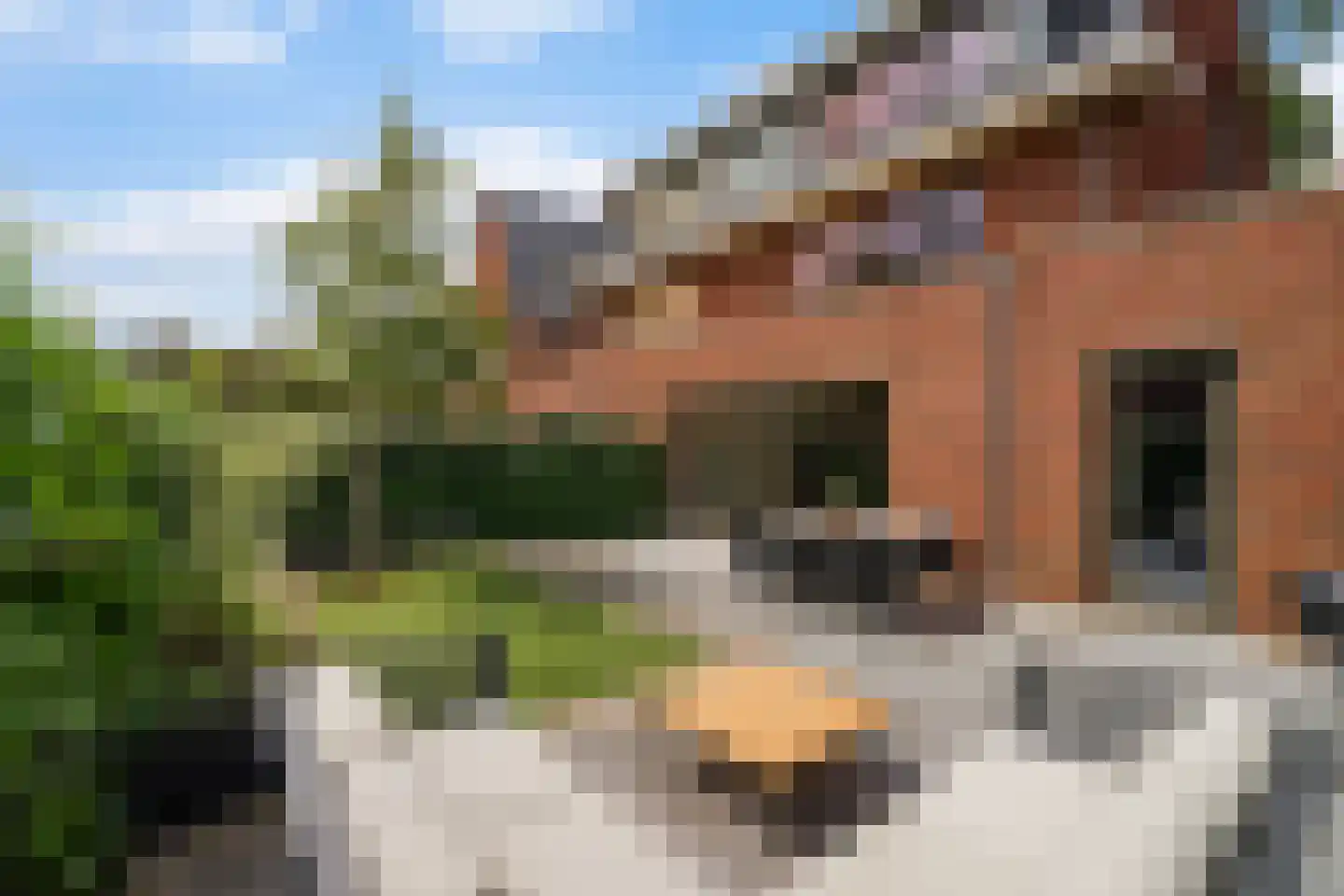 Sijzenlaan 6 D Den Haag thumbnail 21