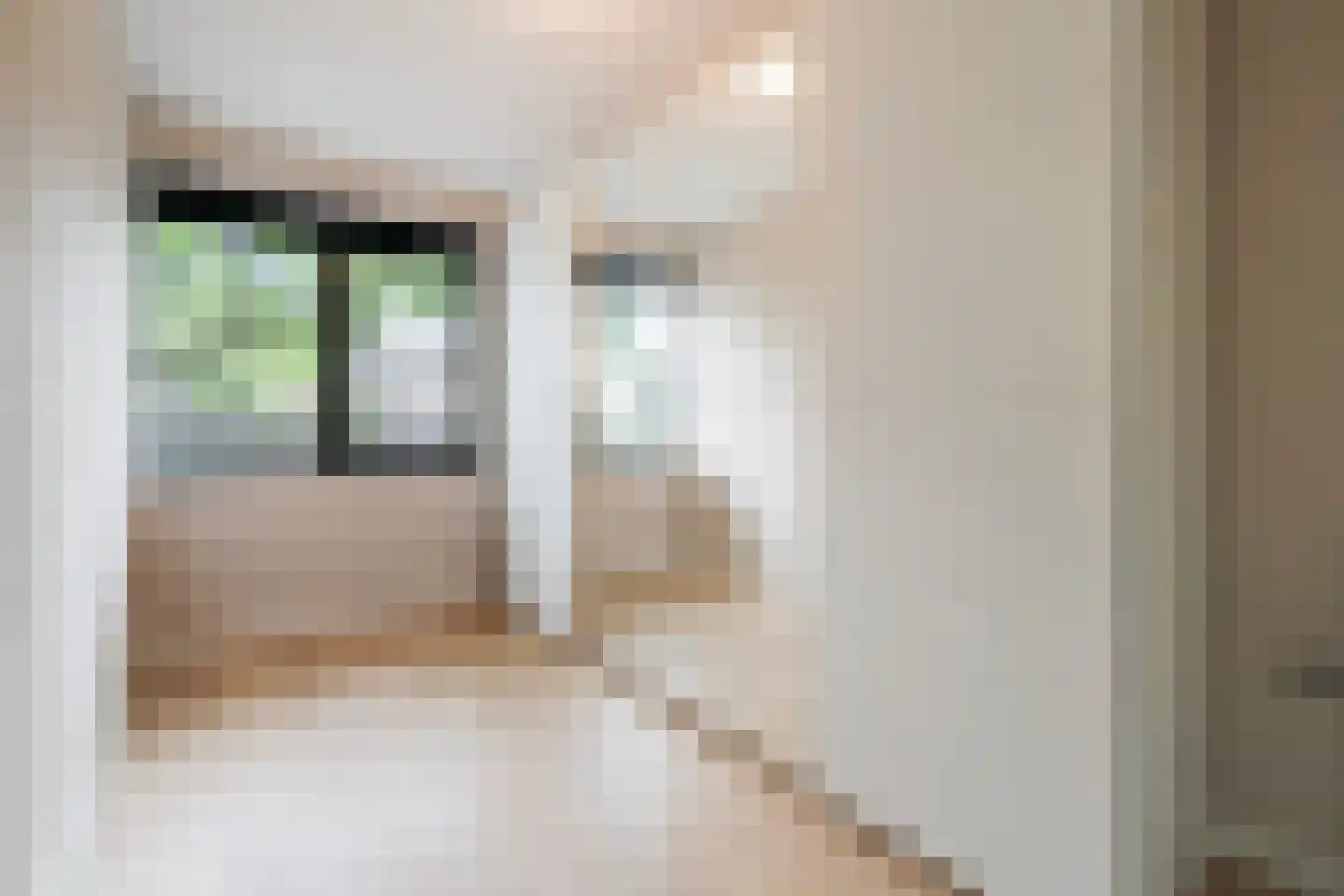Sijzenlaan 6 D Den Haag thumbnail 32