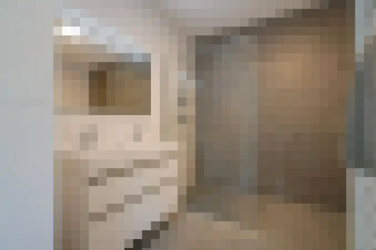 Sijzenlaan 6 D Den Haag thumbnail 37