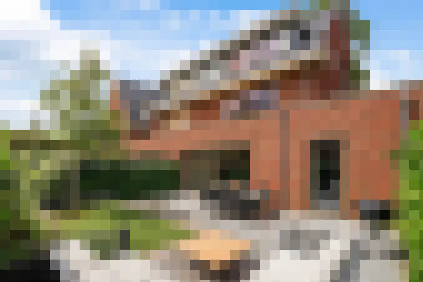 Sijzenlaan 6 D Den Haag thumbnail 4