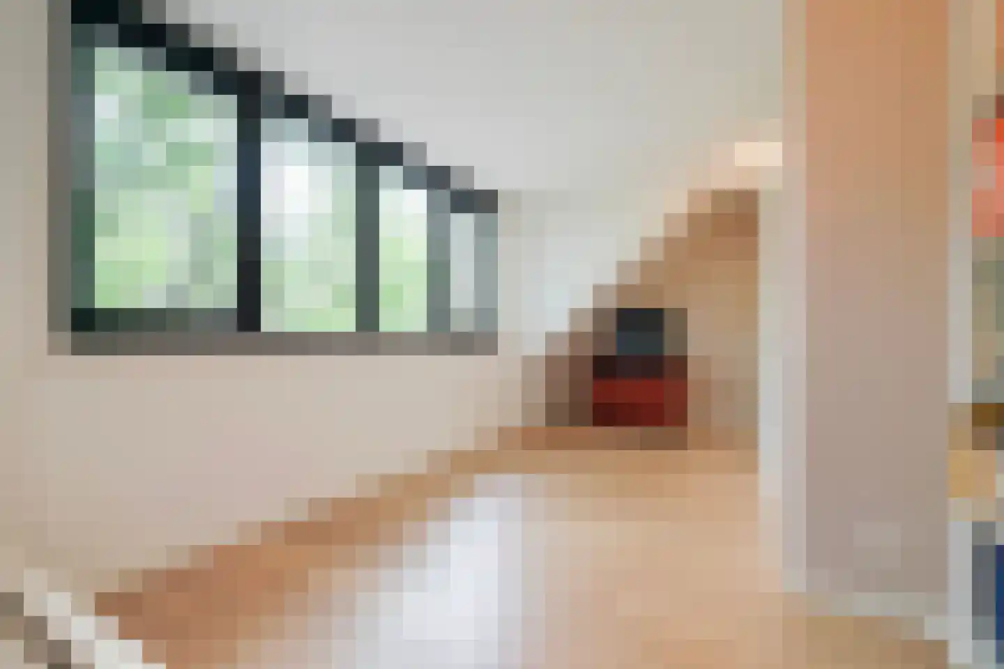 Sijzenlaan 6 D Den Haag thumbnail 46