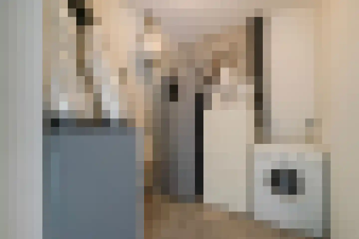 Sijzenlaan 6 D Den Haag thumbnail 50