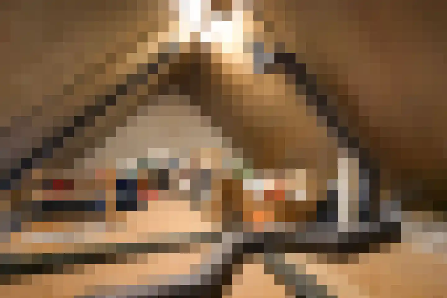 Sijzenlaan 6 D Den Haag thumbnail 53