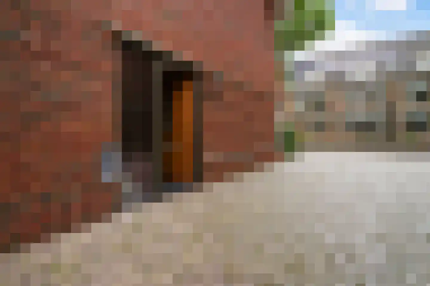 Sijzenlaan 6 D Den Haag thumbnail 56