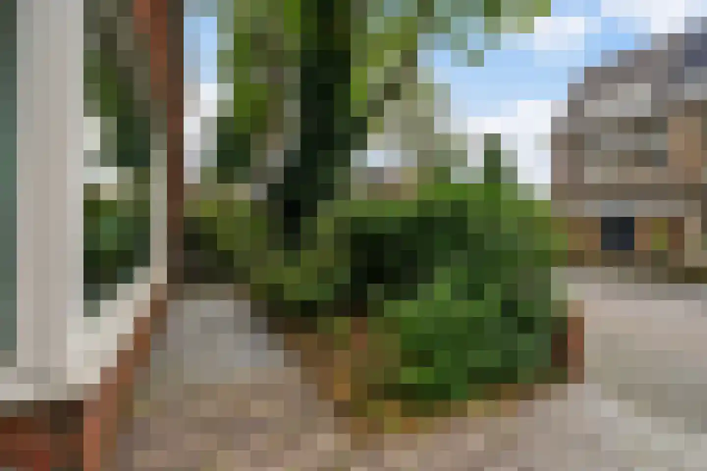 Sijzenlaan 6 D Den Haag thumbnail 57