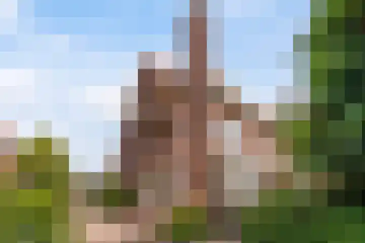 Sijzenlaan 61 in Den Haag