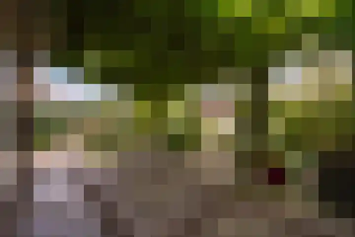 Sijzenlaan 61 Den Haag thumbnail 17
