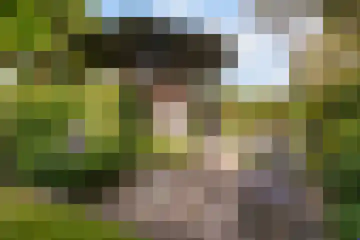 Sijzenlaan 61 Den Haag thumbnail 18