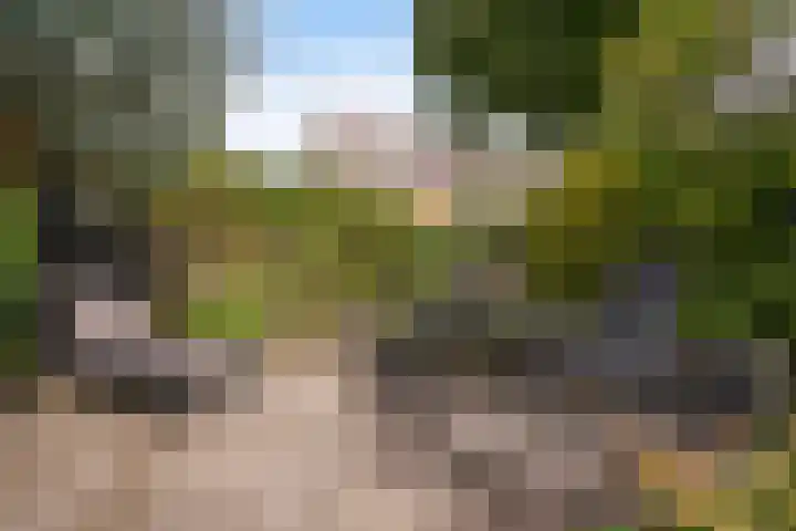 Sijzenlaan 61 Den Haag thumbnail 19