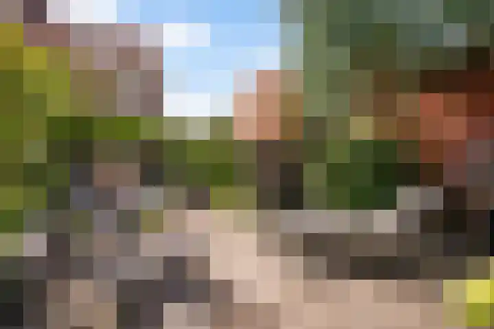 Sijzenlaan 61 Den Haag thumbnail 20