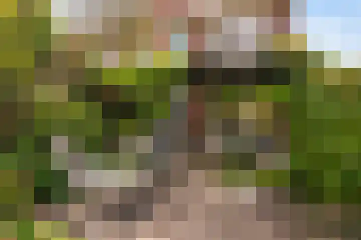 Sijzenlaan 61 Den Haag thumbnail 22
