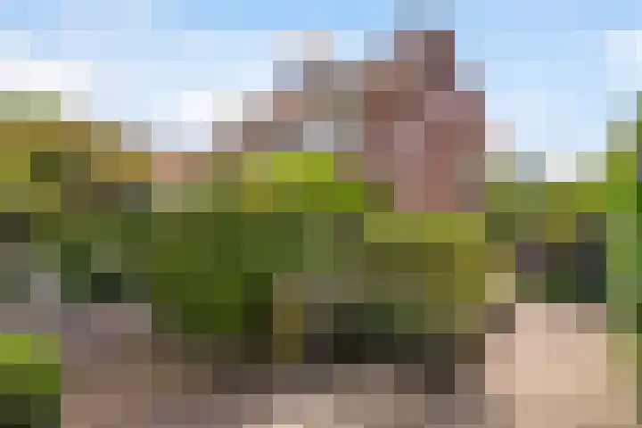 Sijzenlaan 61 Den Haag thumbnail 23