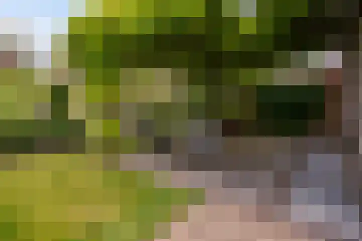 Sijzenlaan 61 Den Haag thumbnail 24