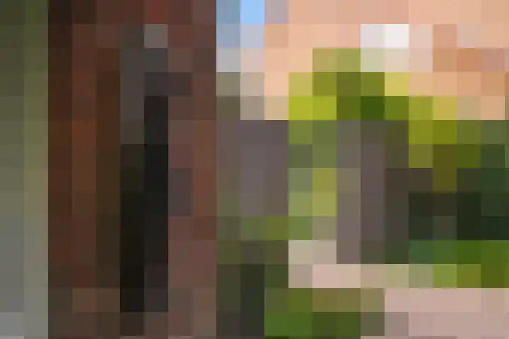 Sijzenlaan 61 Den Haag thumbnail 25