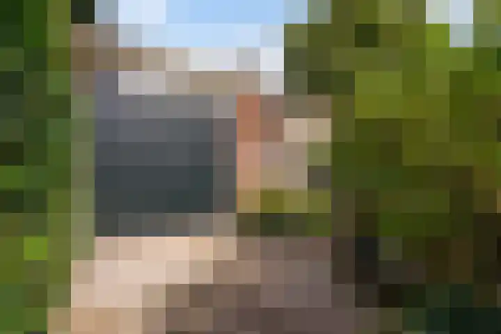 Sijzenlaan 61 Den Haag thumbnail 26