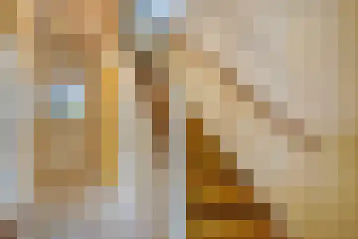 Sijzenlaan 61 Den Haag thumbnail 36