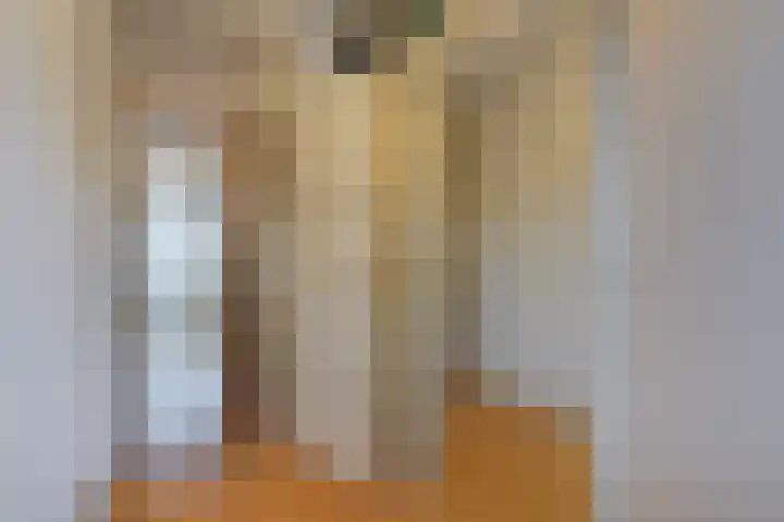 Sijzenlaan 61 Den Haag thumbnail 38