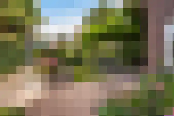 Sijzenlaan 61 Den Haag thumbnail 4