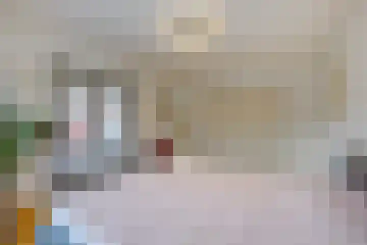 Sijzenlaan 61 Den Haag thumbnail 40
